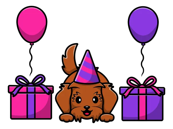 Maltipoo Dog Birthday With Gifts And Balloons  Illustration