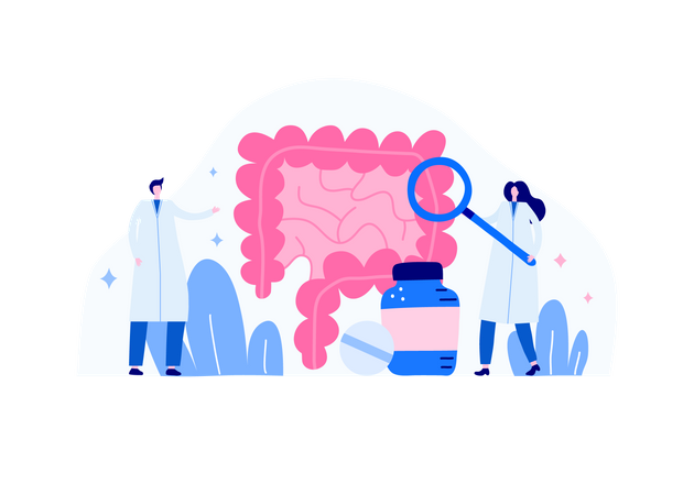 Man and women examing digestive system  イラスト