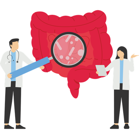 Man and women examining digestive system  Illustration