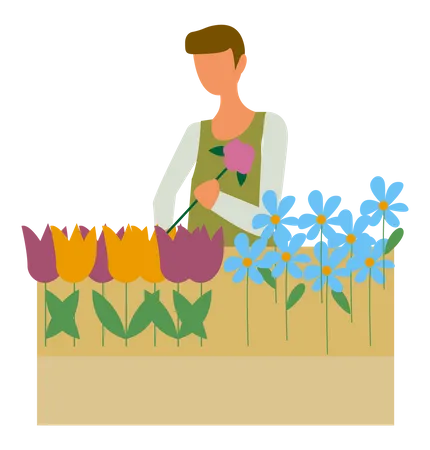 Man arranging flowers  Illustration