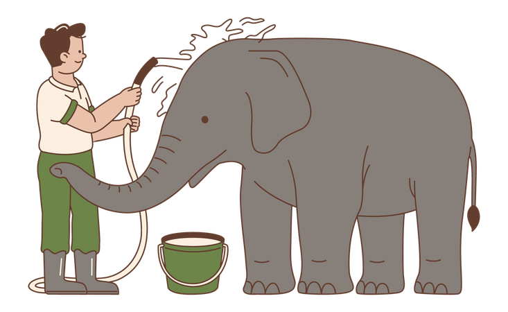 Man Bathing an Elephant  Illustration