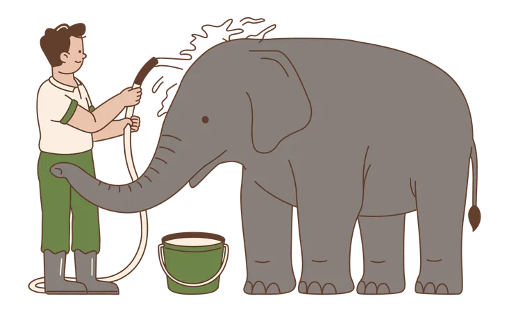 Man Bathing an Elephant  Illustration