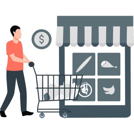 Man buying groceries online  Illustration