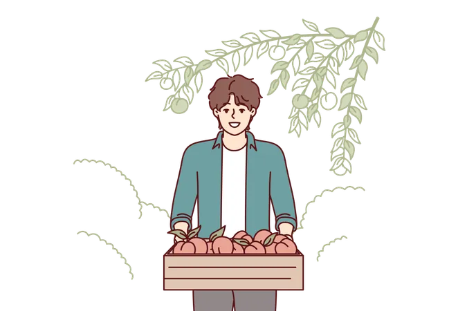 Man carries fruit basket  Illustration