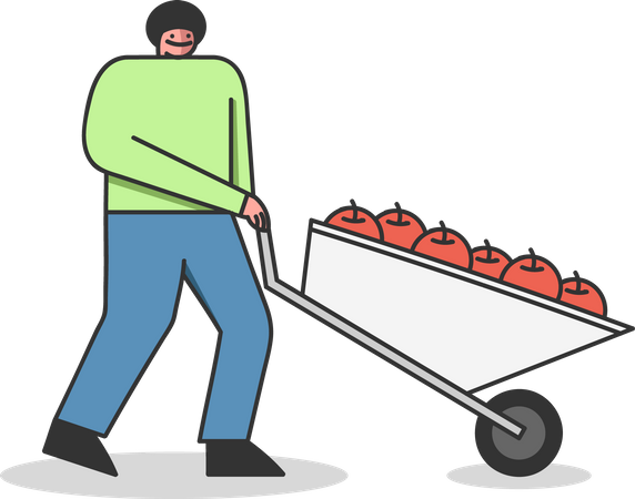 Man Carries Wheelbarrow Full Of Apples  Illustration