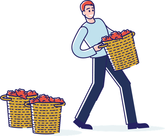 Man Carrying Grapes Basket Illustration
