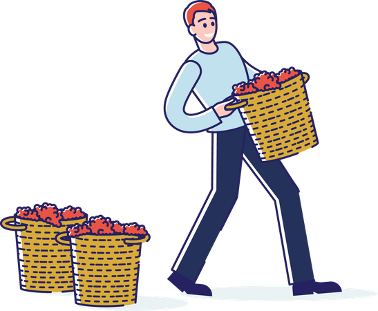 Man Carrying Grapes Basket  Illustration