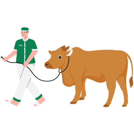 Man Carrying Sacrificial Cow  Illustration