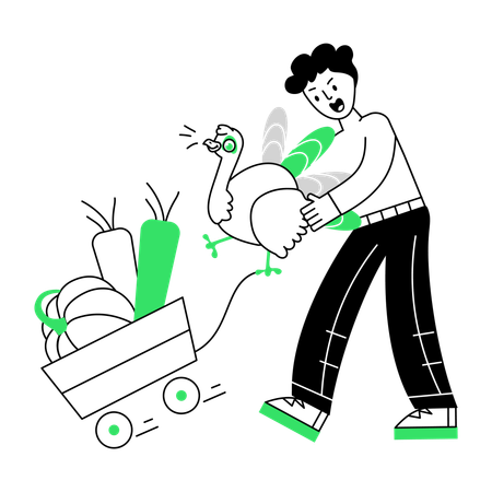 Man Catching Turkey bird  Illustration