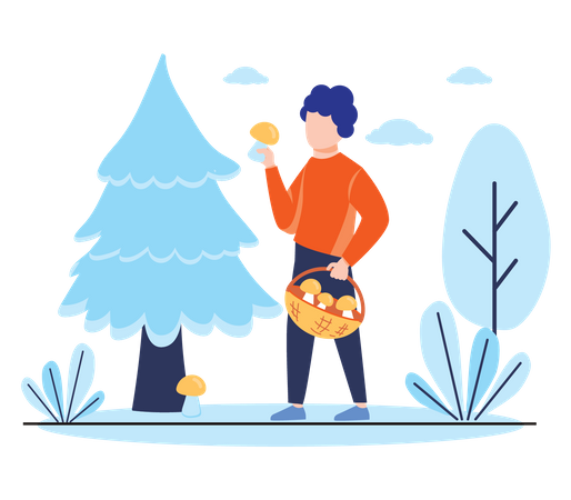 Man collecting fresh mushrooms  Illustration