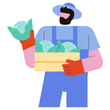 Man collects harvested vegetables  Illustration