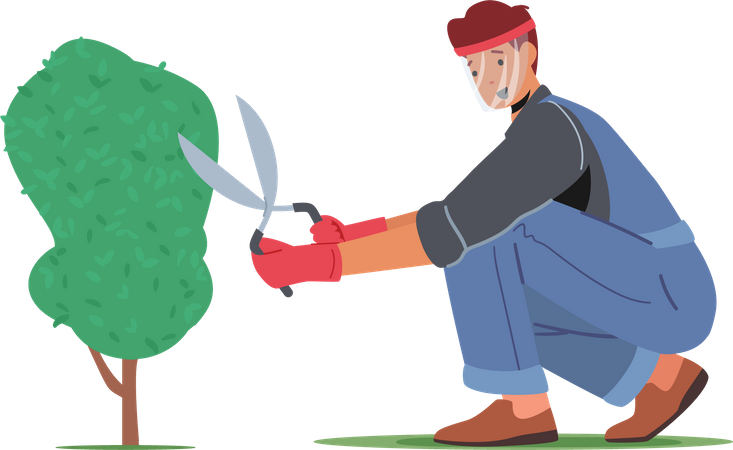 Man cut hedge in orchard Illustration
