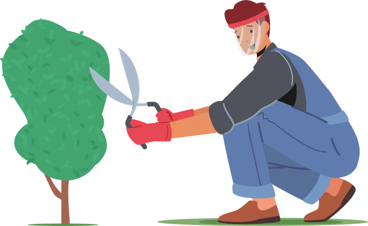 Man cut hedge in orchard  Illustration