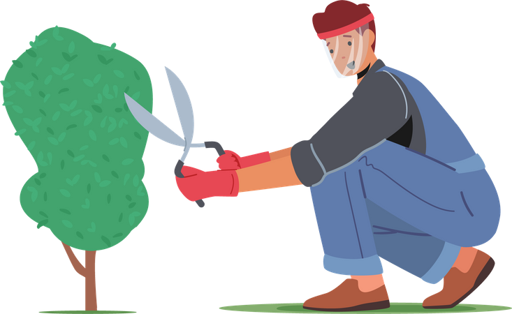 Man cut hedge in orchard  Illustration