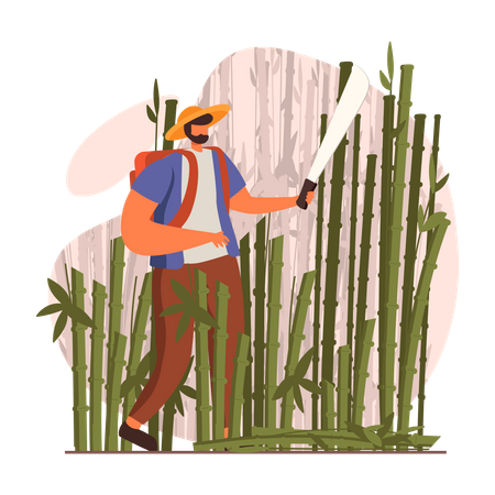 Man cutting bamboos with sword Illustration