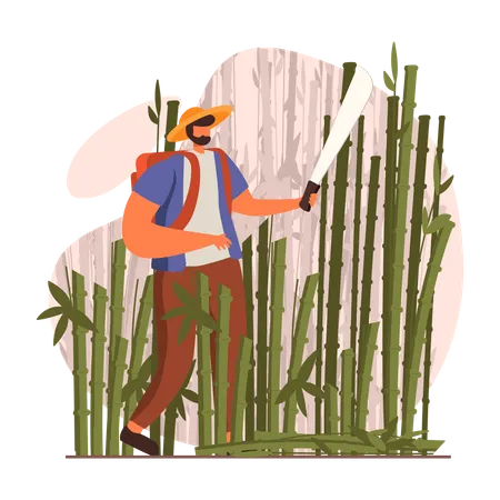 Man cutting bamboos with sword  Illustration