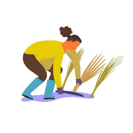 Man cutting crop  Illustration