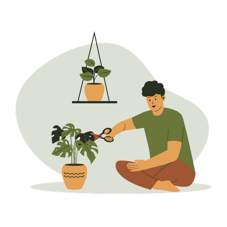 Man cutting leaves of potted plant  Illustration