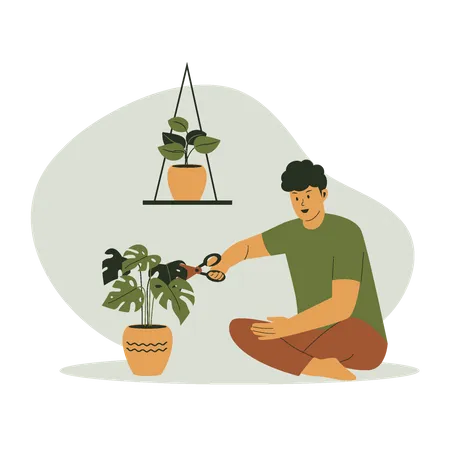 Flat Design Of Man Cutting Leaves Of Potted Plant Illustration