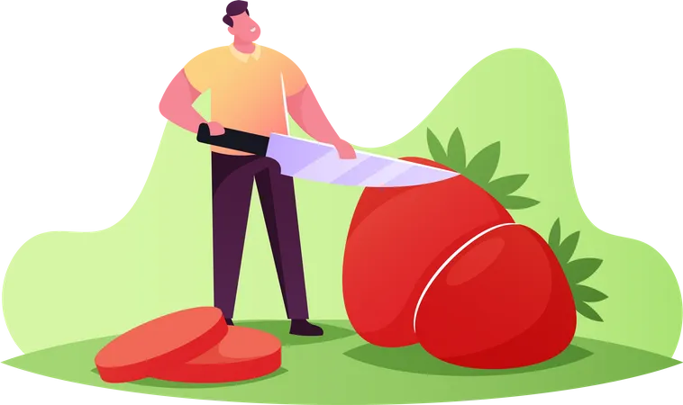 Man Cutting Strawberry  Illustration