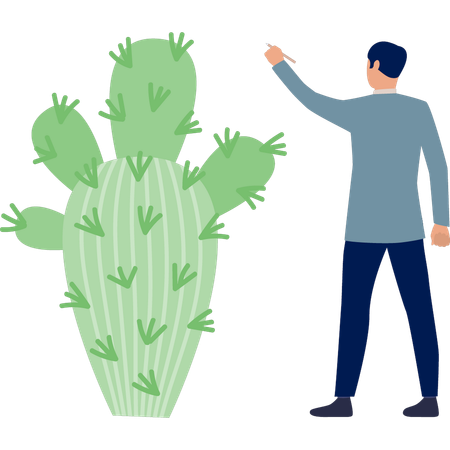 Man discussing Selenicereus plant  Illustration