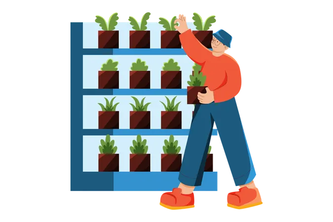 Man do Hydroponics plantation  Illustration