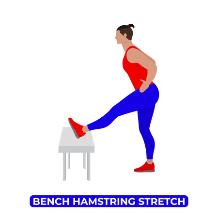 Man Doing Bench Hamstring Stretch  Illustration