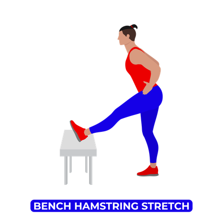 Man Doing Bench Hamstring Stretch  Illustration