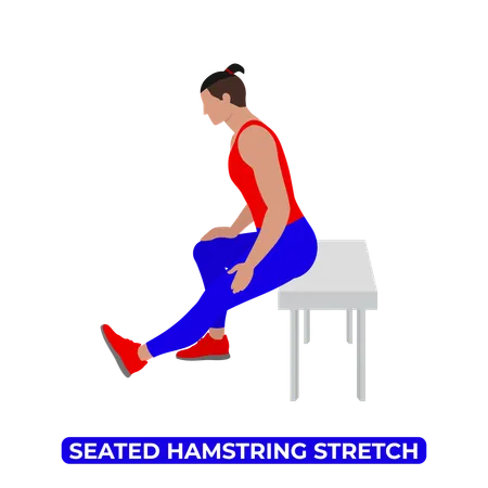 Man Doing Bench Seated Hamstring Stretch  Illustration