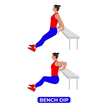 Man Doing Bench Triceps Dip Exercise  イラスト