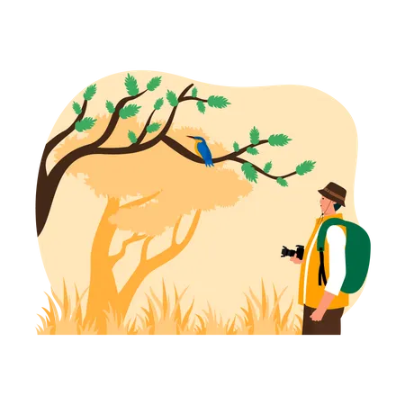 Man doing Bird Watching  Illustration