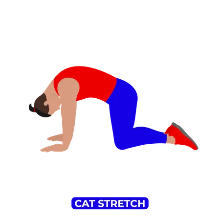 Man Doing Cat Stretch  Illustration