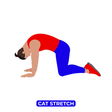 Man Doing Cat Stretch  Illustration