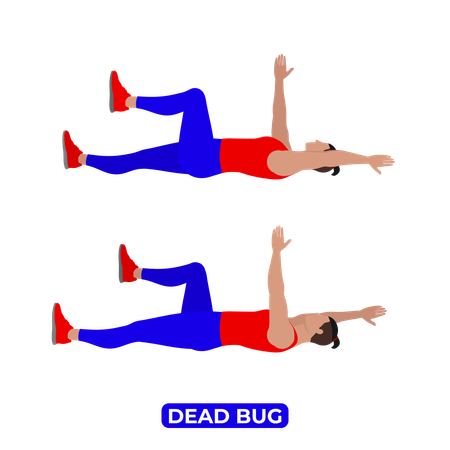 Man Doing Dead Bug Exercise  Illustration