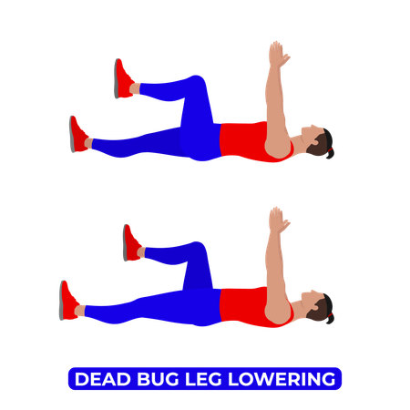 Man Doing Dead Bug Leg Lowering Exercise  Illustration