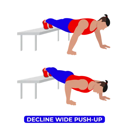Premium Vector  Vector woman doing decline wide push up bodyweight fitness  chest workout exercise