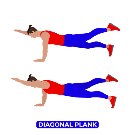 Man Doing Diagonal Plank Exercise  イラスト