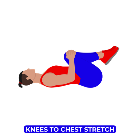 Man Doing Double Knee to Chest Glute Stretch  イラスト