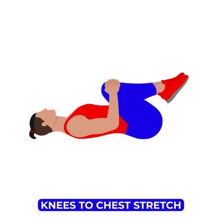 Man Doing Double Knee to Chest Glute Stretch  일러스트레이션