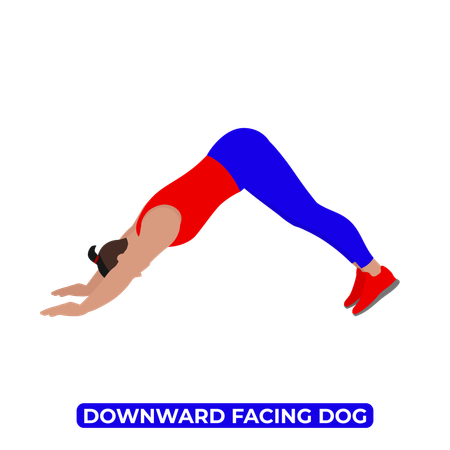 Man Doing Downward Facing Dog Stretch  Illustration