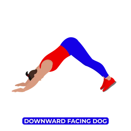 Man Doing Downward Facing Dog Stretch  Illustration