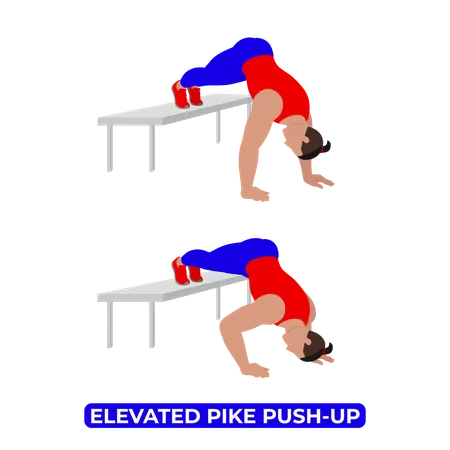 Man Doing Elevated Pike Push Up Exercise  Illustration