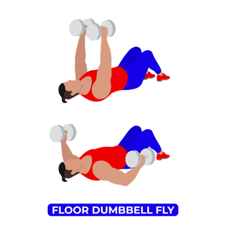 Man Doing Floor Dumbbell Fly Exercise  Illustration