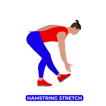 Man Doing Hamstring Stretch  Illustration