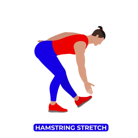 Man Doing Hamstring Stretch  Illustration