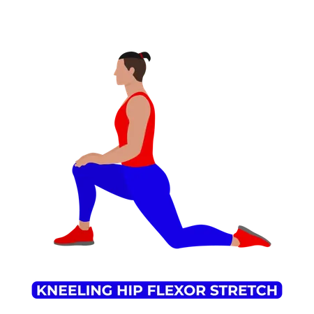 Low Lunge Stretch An Educational Illustration On A White Background Illustration
