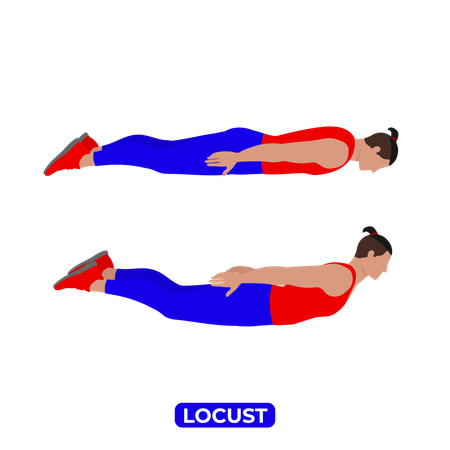 Man Doing Locust Exercise  Illustration