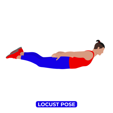 Man Doing Locust Pose.  Illustration