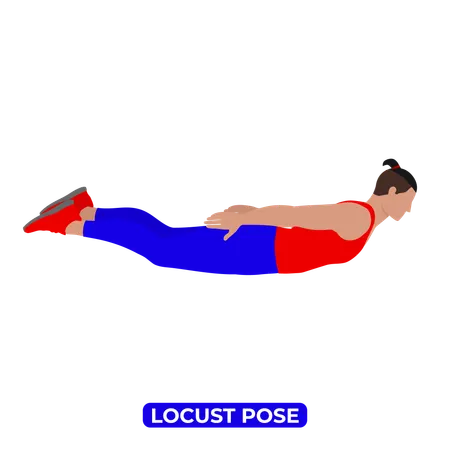 Man Doing Locust Pose.  Illustration