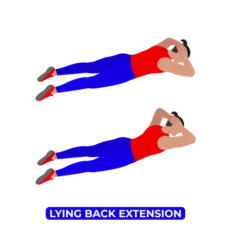 Man Doing Lying Back Extension Exercise  Illustration